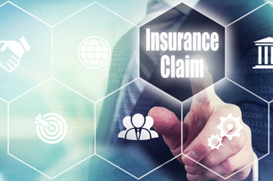 Insurance Claims Investigation System